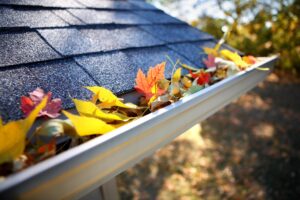 Gutters and Downspouts Service Image